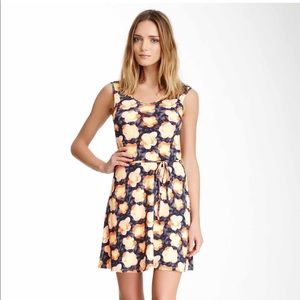 Daisy V Neck Dress